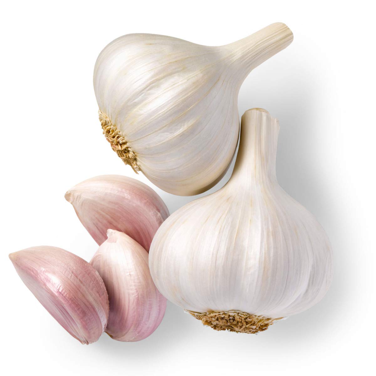 Thai  Low Price Fresh Garlic White Garlic Normal White Garlic