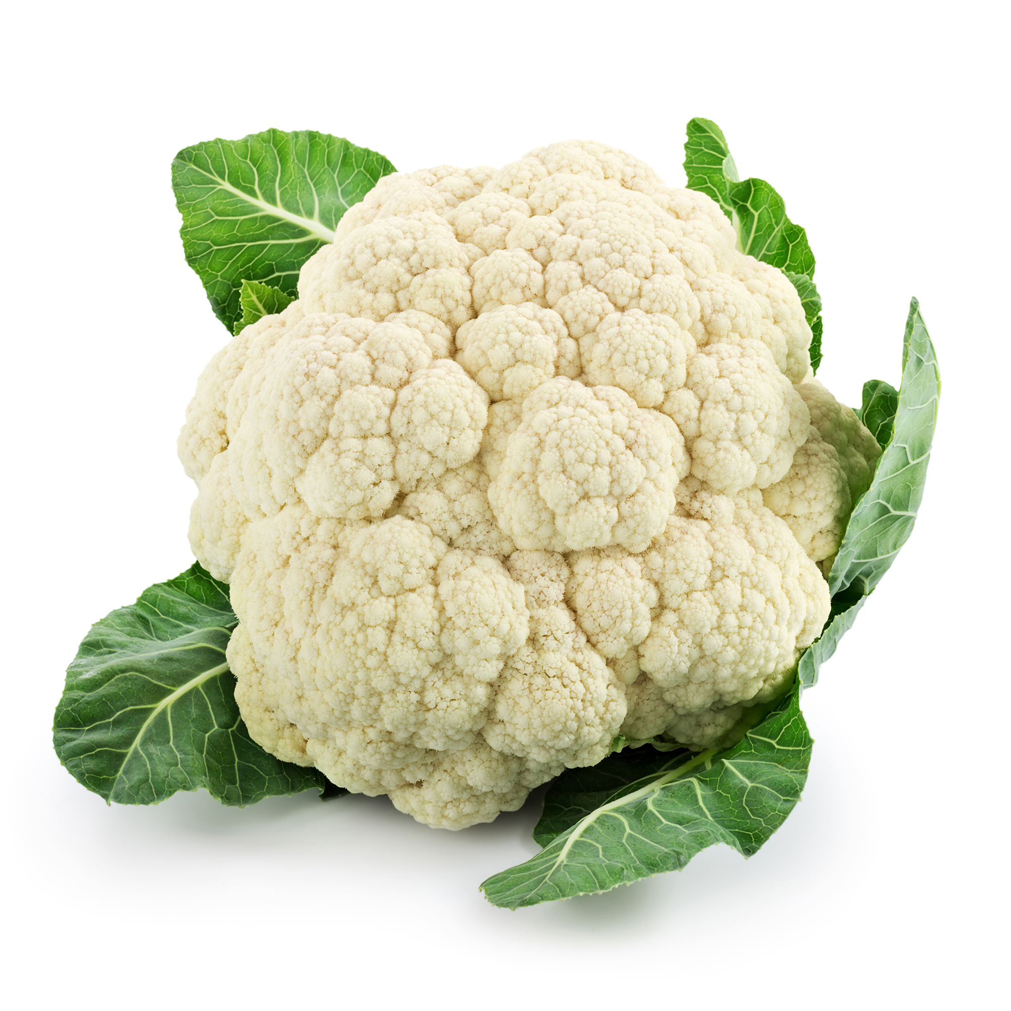 fresh cauliflower from owned farm supply all the year round