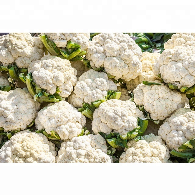 fresh cauliflower from owned farm supply all the year round