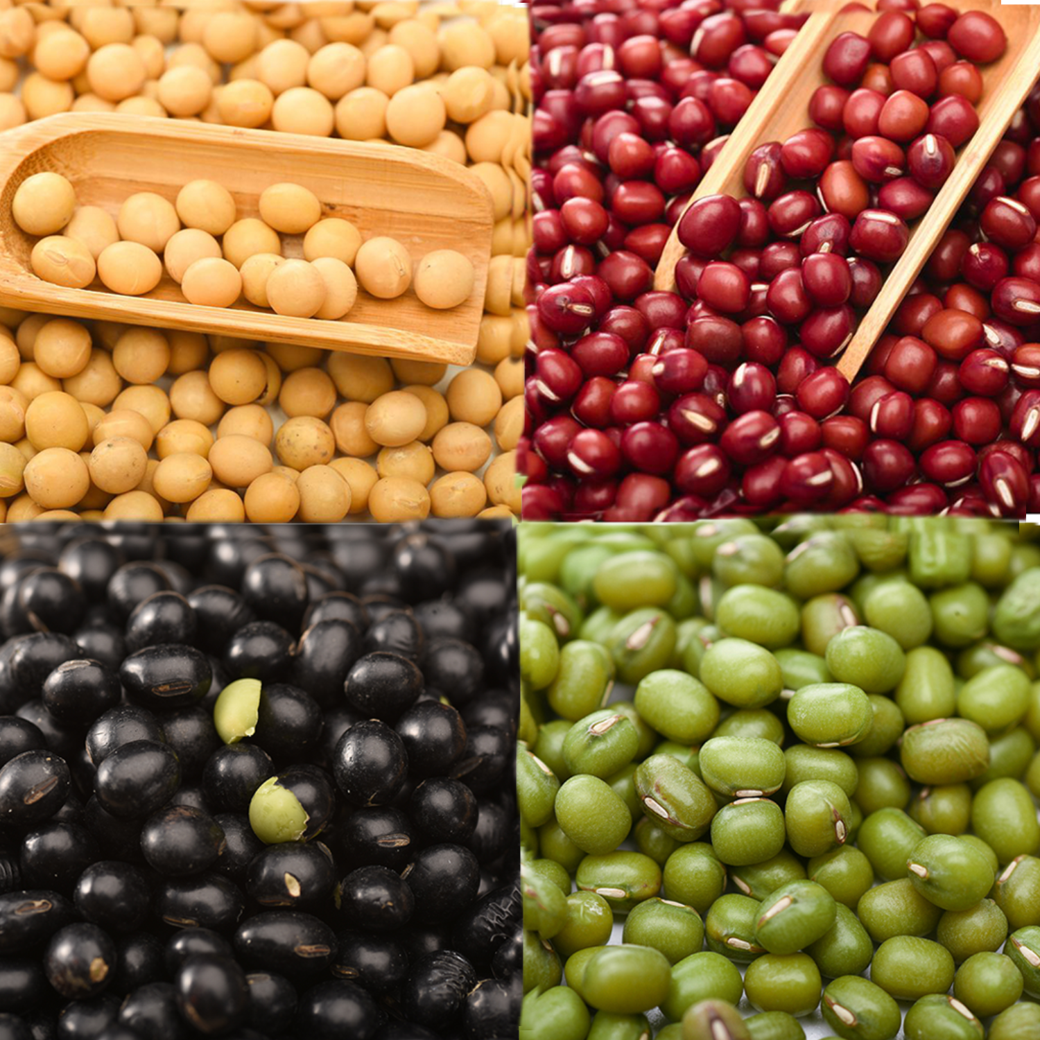 Wholesale High Quality Packing Organic Green Mung Bean Red Black soy Beans