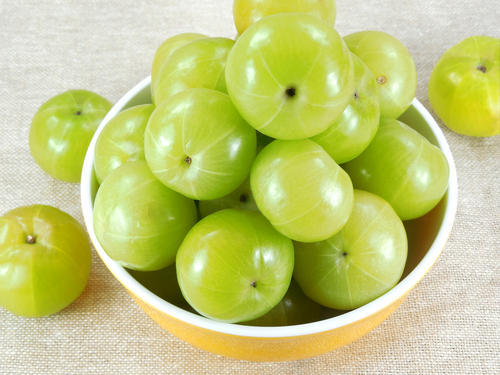 HIgh Quality Indian Fresh Amla