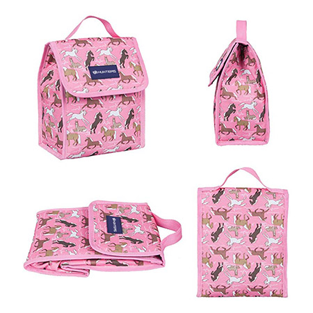 Kids Insulated Lunch Bag for Boys and Girls, Lunch Bags (5)