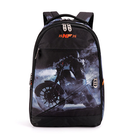 Teen-ager School Bag Senior Backpack for Boy (2)