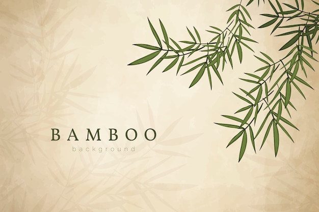 bamboo