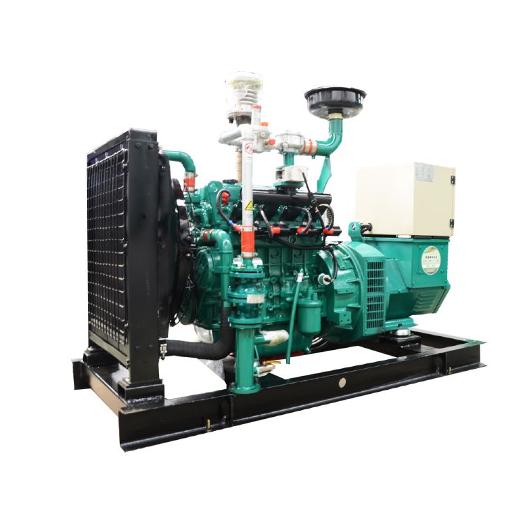 30KW Natural Gas/<a href='/biogas/'>Biogas</a> Generator - Factory Direct, High-Quality Options