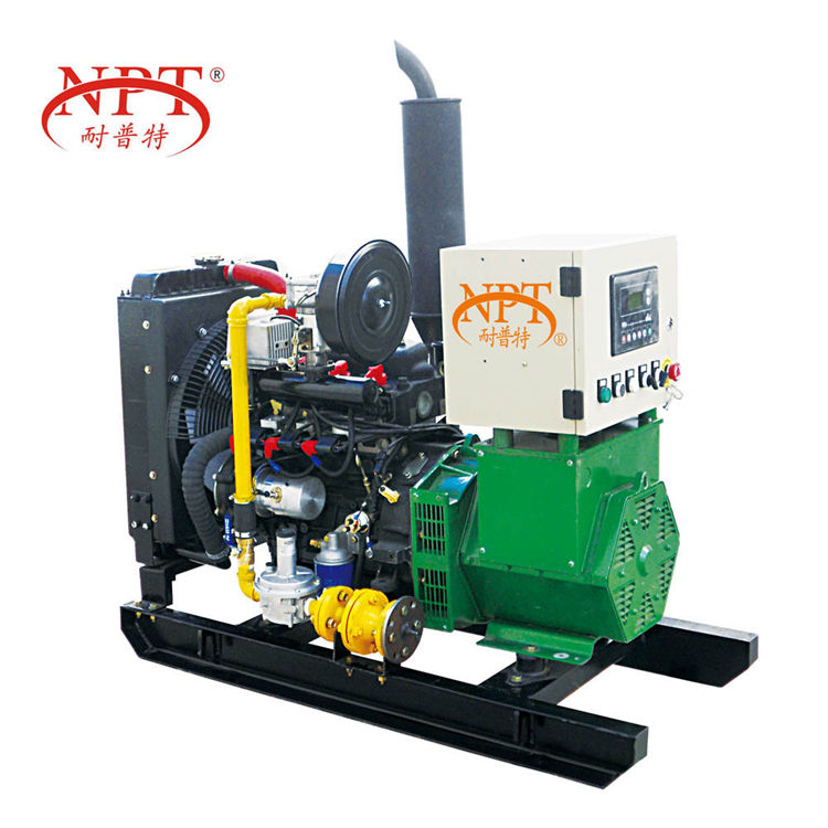 Leading Factory | High-Quality 10 Kw LPG <a href='/gas-generator/'>Gas Generator</a> | Product Specifications & Durability