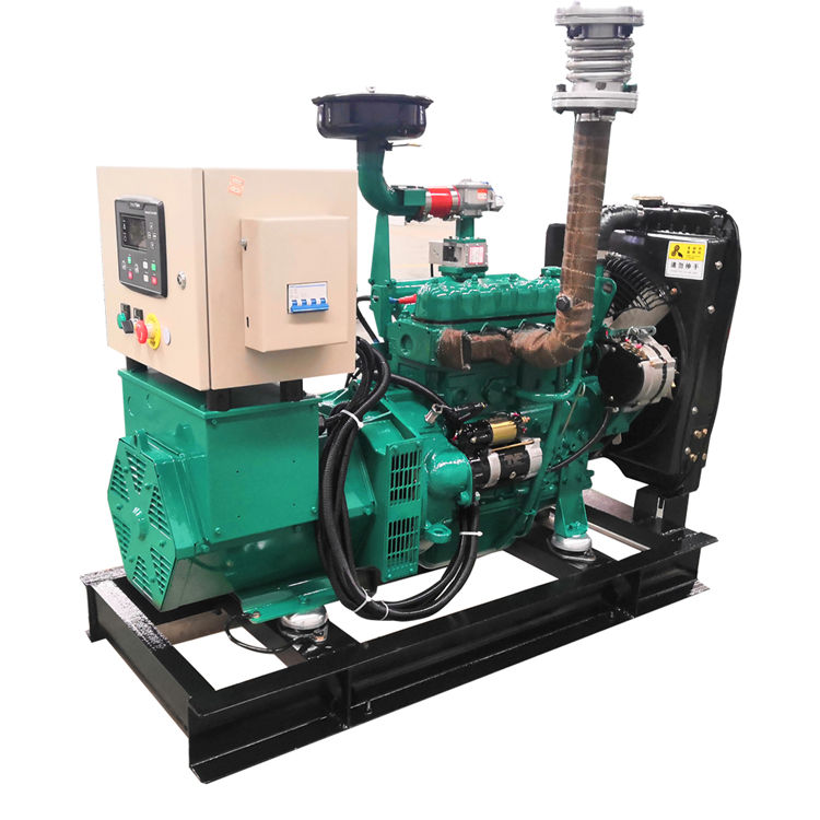 50KW LPG Gas Generator