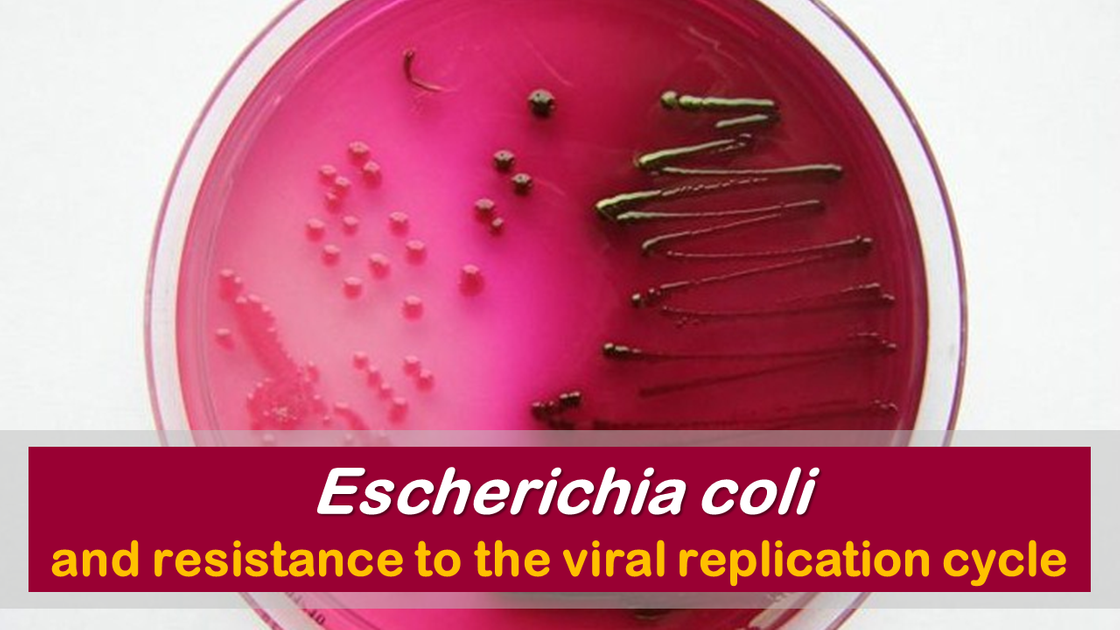 Help - Escherichia coli str. K-12 substr. MG1655 - Ensembl Genomes 45
