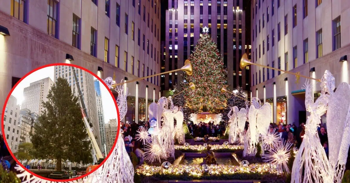 Rockefeller Center Tree Lighting | New York Post