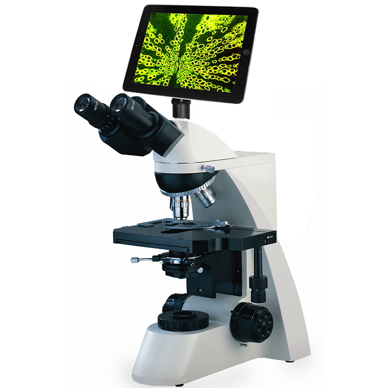 9.7'' LCD Pad Digital Laboratory <a href='/microscope/'>Microscope</a>