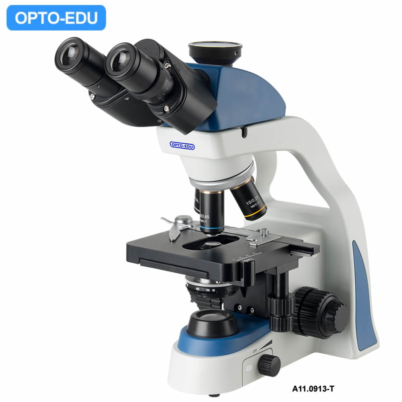 A11.0913-T Student <a href='/biological-microscope/'>Biological <a href='/microscope/'>Microscope</a></a>, Trinocular, Achromatic