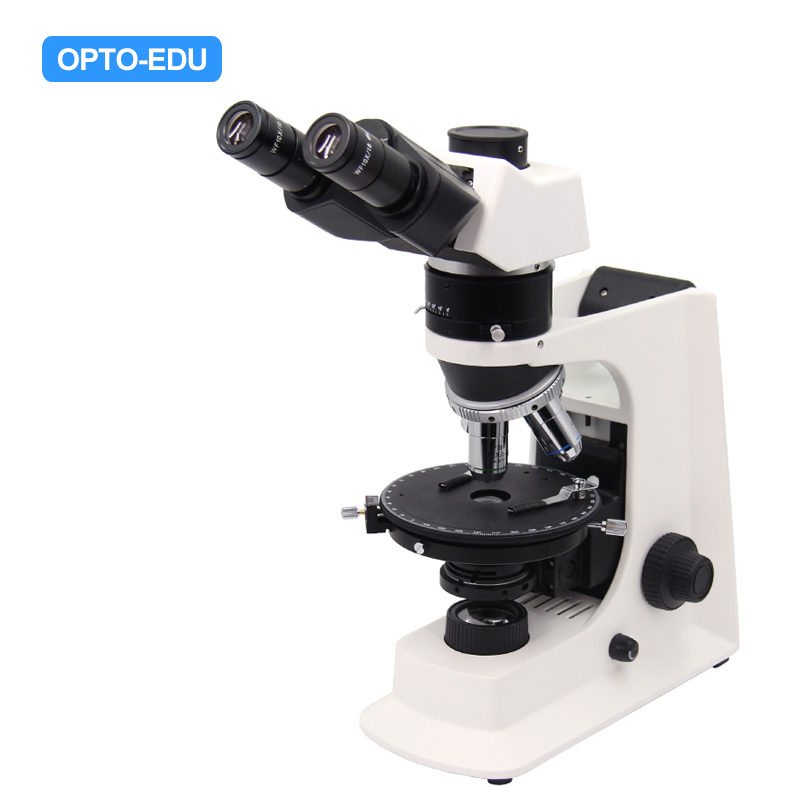 The 7 Best Microscopes of 2023 - Microscopes for Students