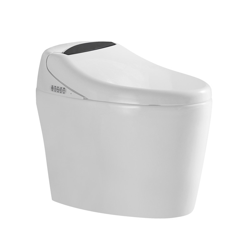 Factory-Direct cUPC Smart <a href='/bidet/'>Bidet</a> Toilet with Auto Open/Close Lid - Dual Flush, Heat Seat, Warm Water & Dry