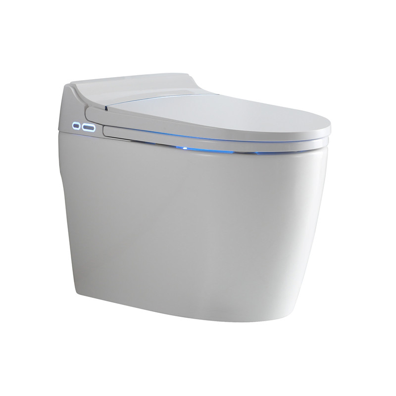 Factory Direct: Discover the Ultimate Smart Toilet - Auto Open/Close Lid, Heated Seat, Warm Water & Dry, Feet Sensor - Order Now!