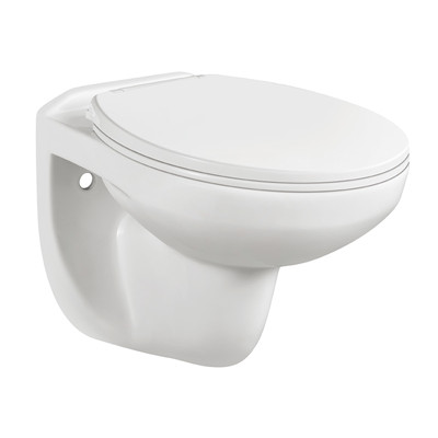 Factory Direct: Washdown Wall-Hung Toilet with Slow Down Seat Cover