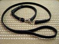 Dog Collar and Leash: Combo packs for your beloved pet dogs | Most Searched Products  - Times of India