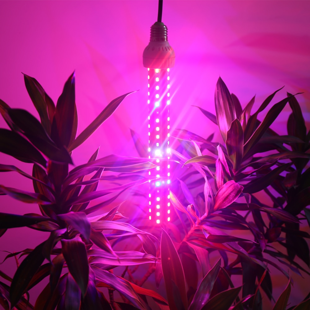 Quantum Grow Light - Full Spectrum  Hydroponics Gardening Tips