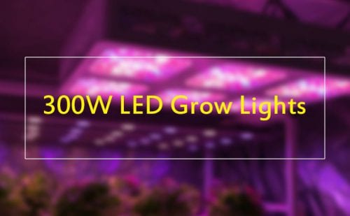 Mammoth Lighting UV Fold Series 8 Bar 700 Watt LED Grow Light 700 Watt LED Grow Lights LED Grow Lights Grow Lights