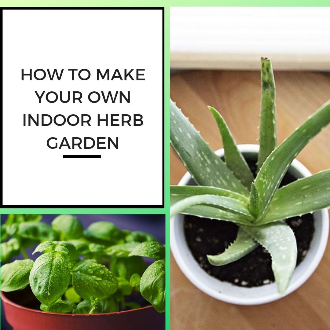 Indoor Herb Garden Supplies Needed To Make Your Own Herb Garden Indoor Herb Garden Kit With Light Australia  fideli.me