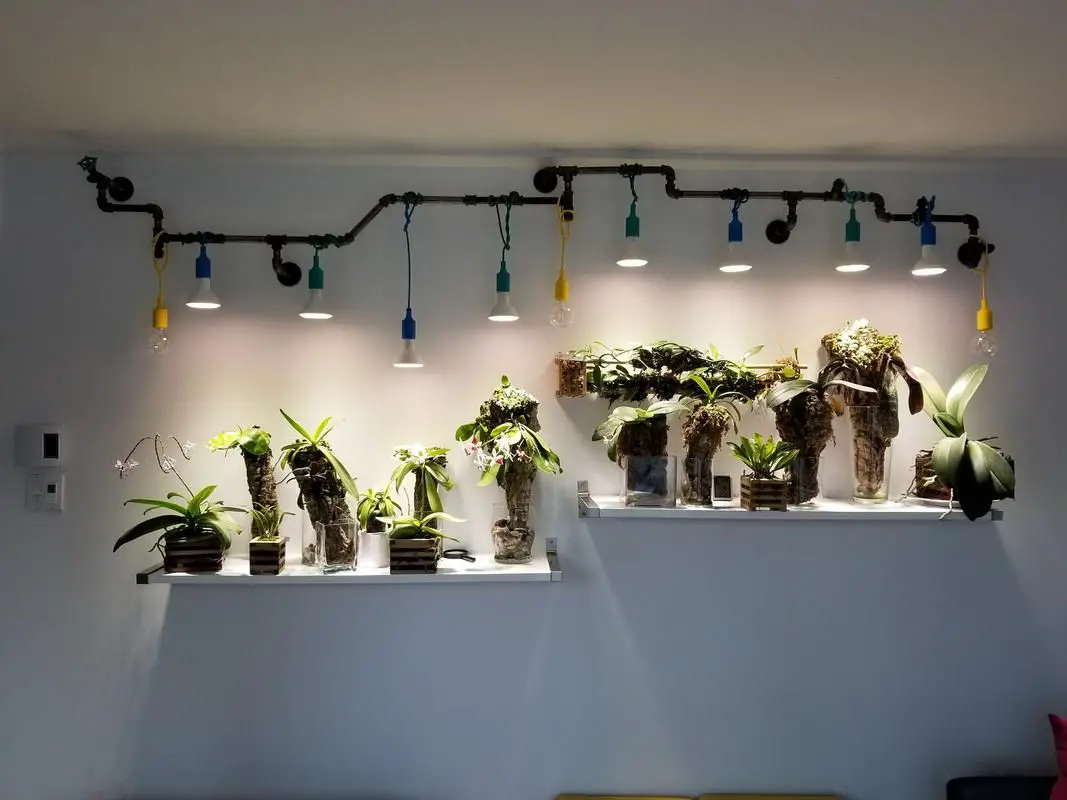 T8 Grow Light Bulbs: The Right Wavelengths for Your Plants - Organize With Sandy