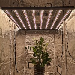 Led Plant Grow Light - aitmouli.com