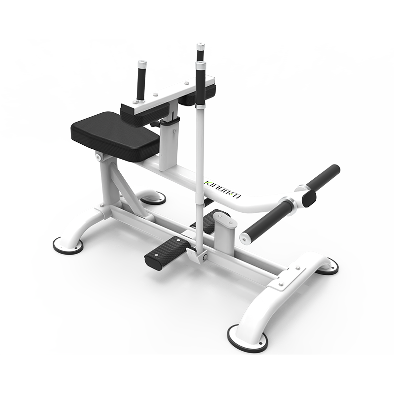 D636 – Seated Calf Machine