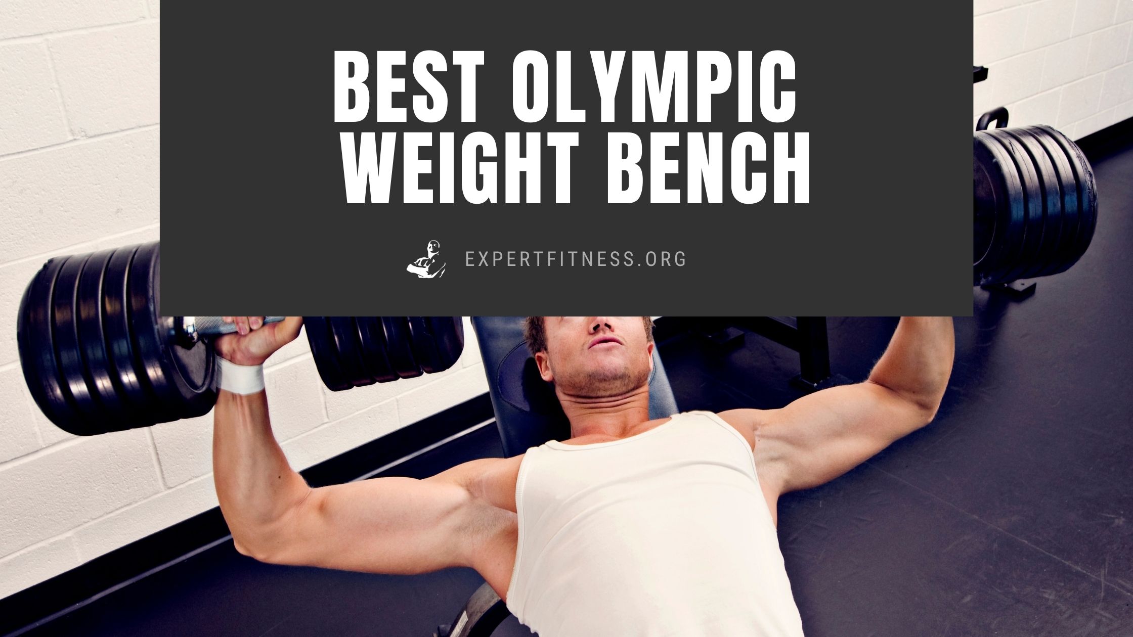 Best Deals for ETHOS Olympic Bench | SwagGrabber