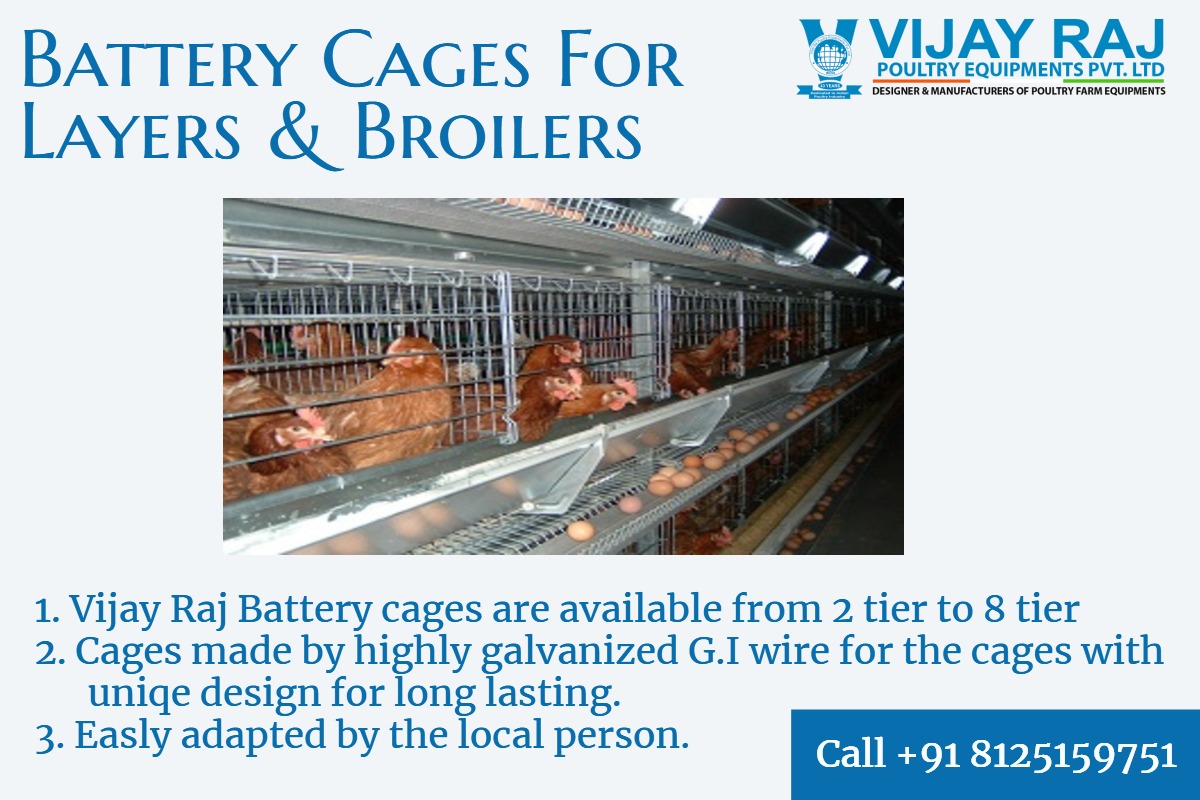 Reasonable price Automatic Poultry House Farm Layout Design For Sale - Layer Cage  Best factory and manufacturers | Best