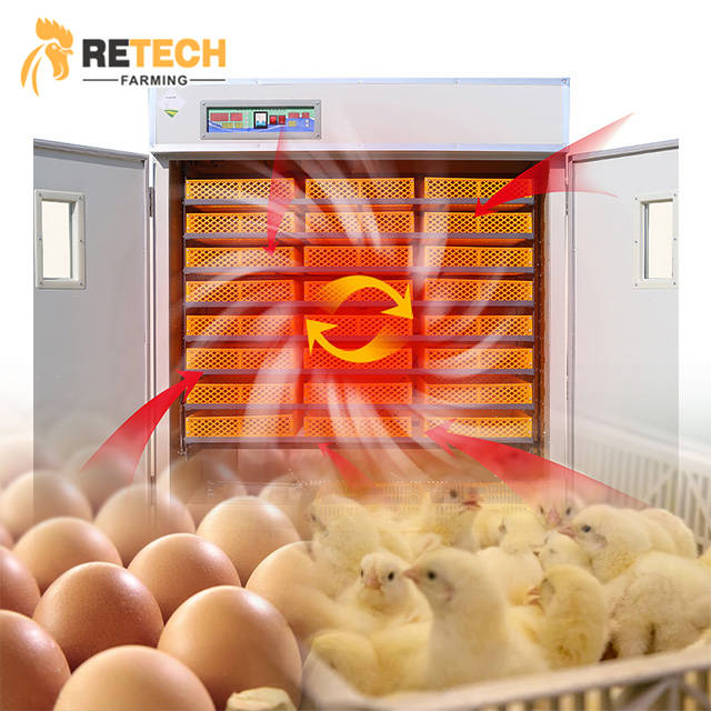 Top Manufacturer: High-capacity Automatic <a href='/egg-incubator/'>Egg Incubator</a> - Hatches 10,000 Eggs | Reliable Poultry Farm Agricultural Machinery