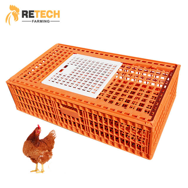 Buy Durable <a href='/chicken-farm/'>Chicken Farm</a> Plastic Transport Cages from Leading Factory