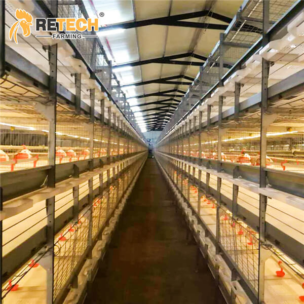 RETECH Factory: Top-Quality H Type Poultry Farm Broiler Chicken Cage