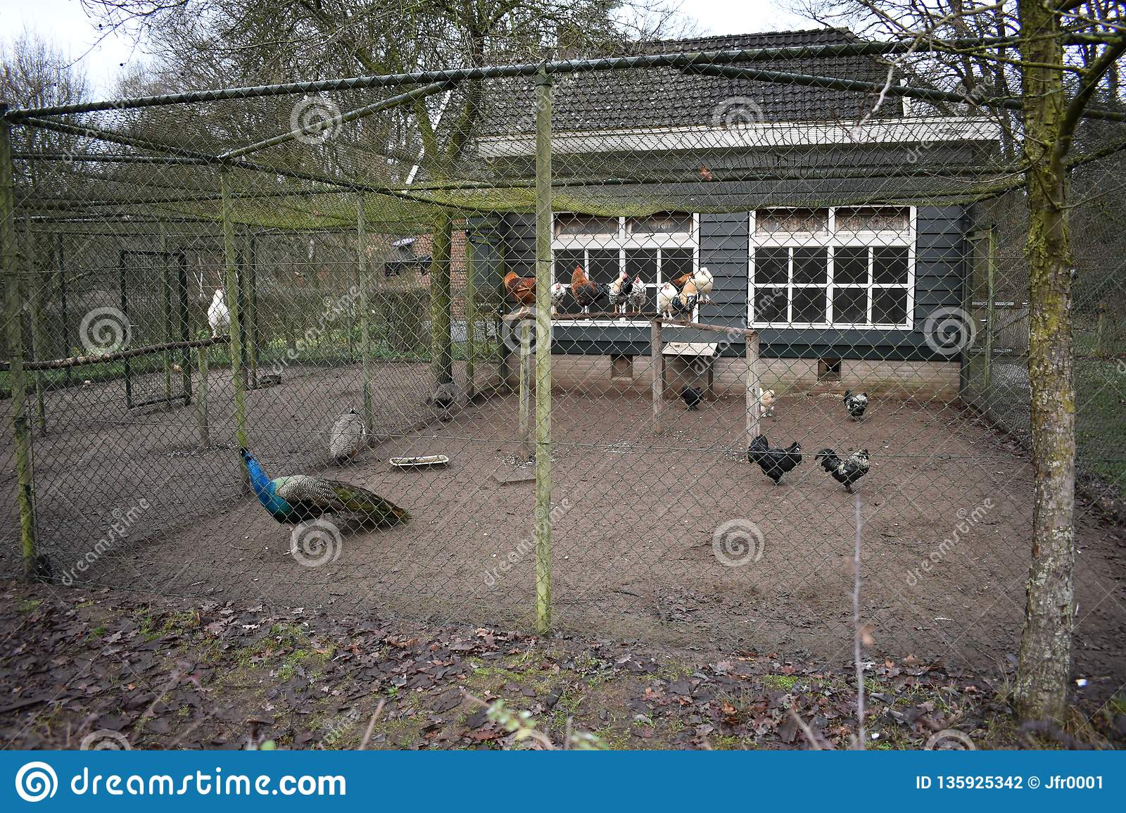 Chicken Cage Stock Photo (Edit Now) 2088216538