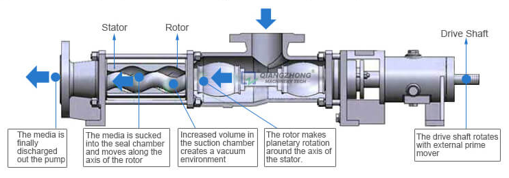 Vertical G-type Screw Pump 05