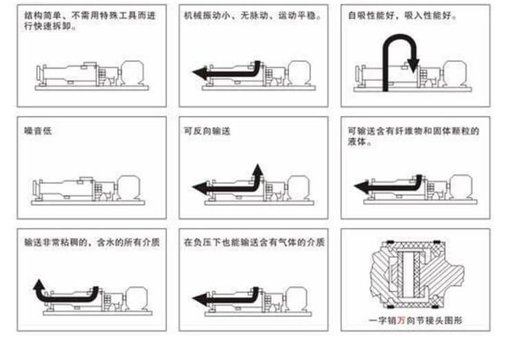 Vertical G-type Screw Pump 09