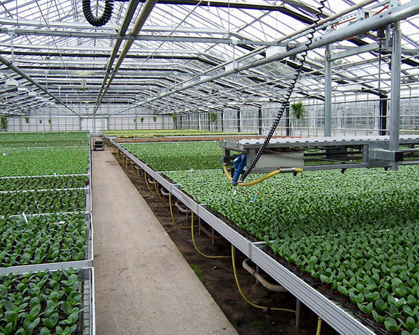 High-quality <a href='/seedling-bed/'>Seedling Bed</a> Factory: Perfect Environment for Strong Seed Growth