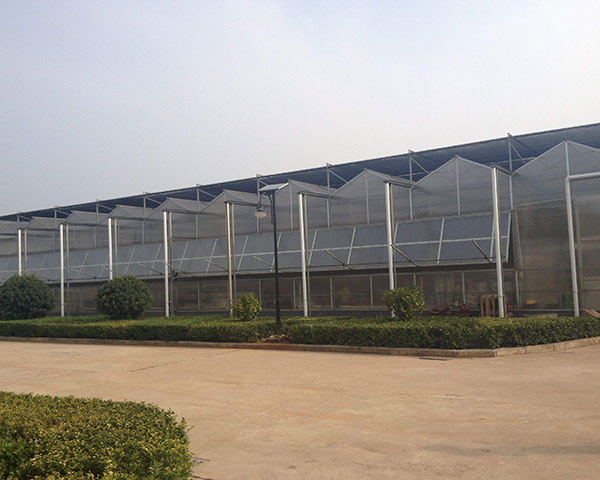 multi-span greenhouse