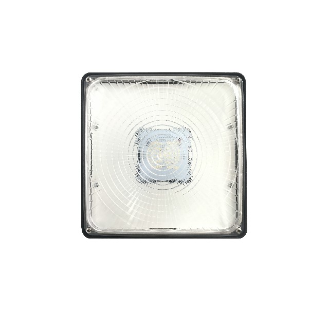 Factory Direct LED Canopy Light - RAD-CL501, Durable Die-Cast Aluminum & Glass, 85-265V Driver, 3-Year Warranty