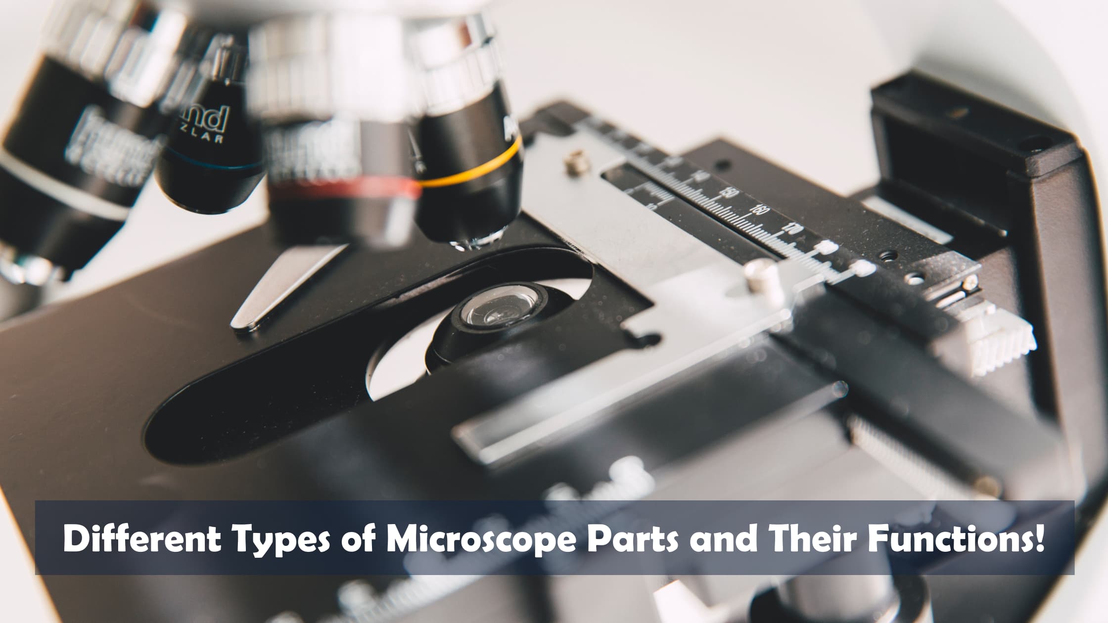 Microscopes | Cytometry