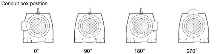 R Series Inline Helical Gear Motor (10)