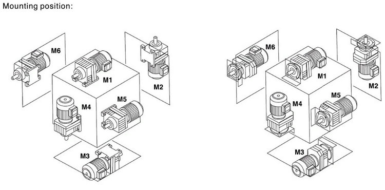 R Series Inline Helical Gear Motor (11)