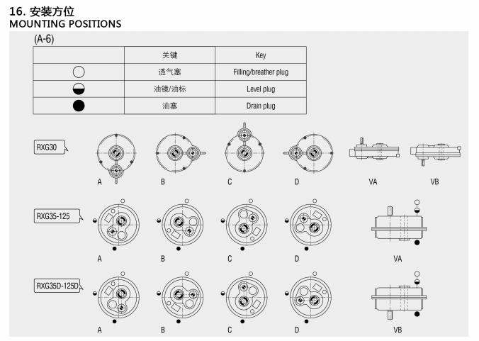 RXG Series Shaft Mounted Gearbox (9)