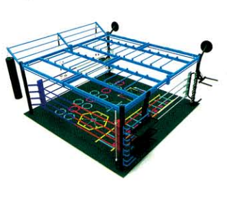 QT2 Functional <a href='/boxing/'>Boxing</a> Ring
