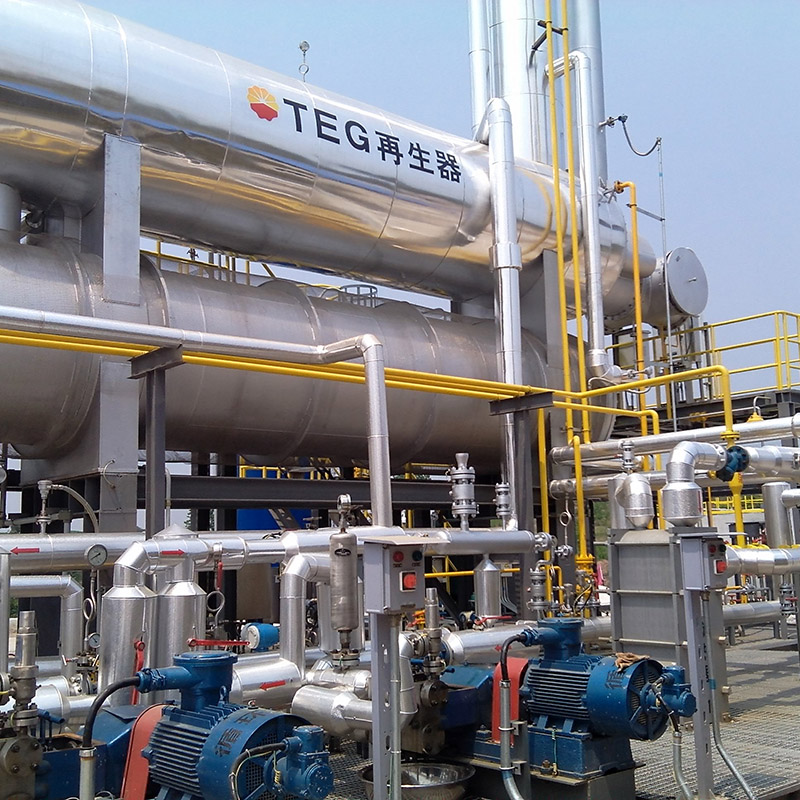 Factory-Made TEG Dehydration Skid for Natural Gas Purifying