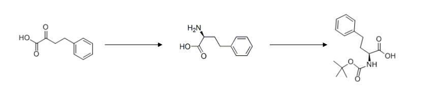 Boc-L-Homophenylalanine ; Boc-L-Leucine.H2O CAS 100564-78-1 Purity ≥98.0% Carfilzomib Intermediate