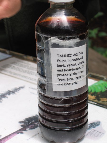 Tannic acid - definition of tannic acid by The Free Dictionary