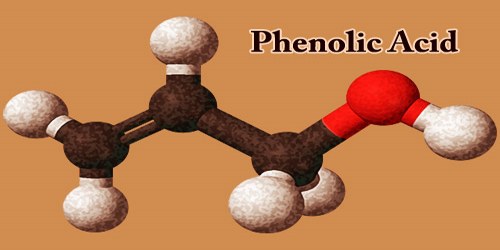 Phenolic acid  NutraWiki