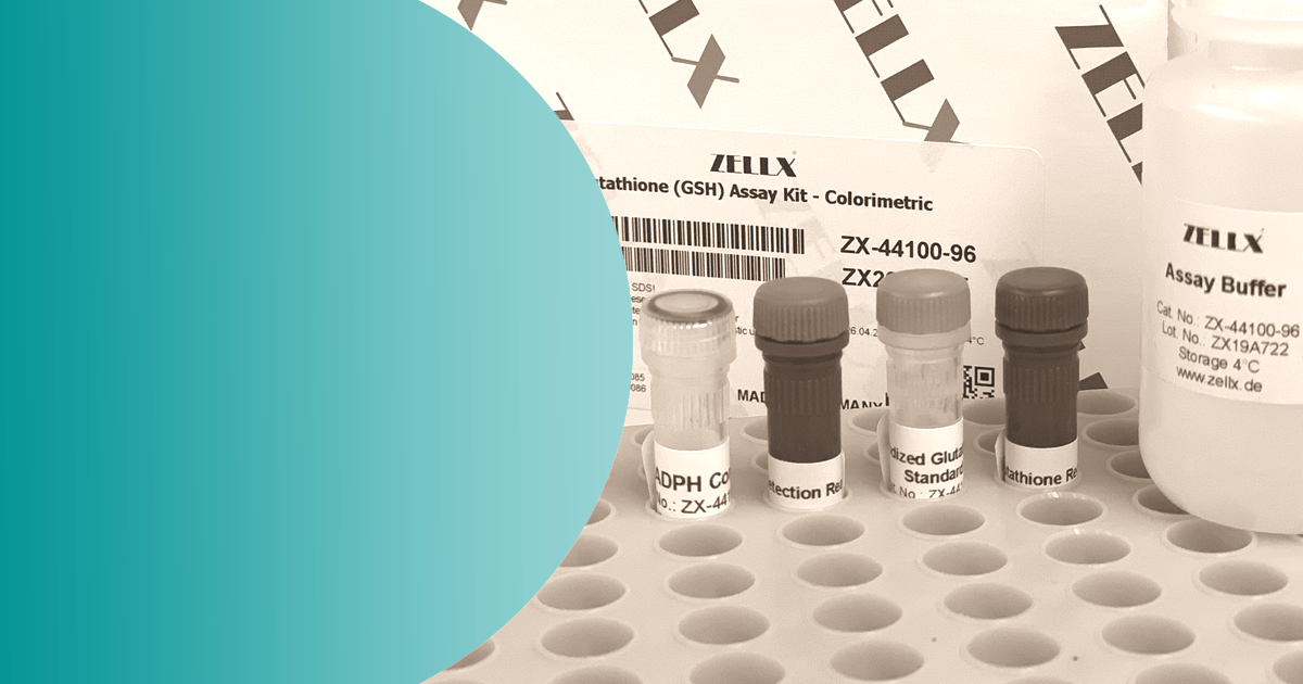 QuantiChrom Total Protein Assay Kit size: 100 tests - Gentaur.biz