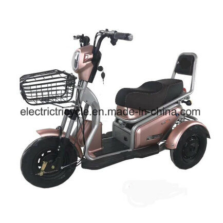 Electric Cargo Trike For Sale | Tricycle | e bike - eTrikes Canada