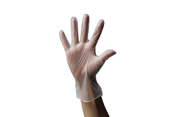 Disposable <a href='/vinyl-gloves/'>Vinyl Gloves</a> Clear Color