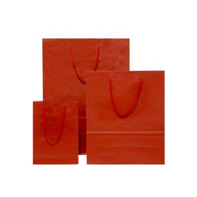 30 x Red Gift Bags / Paper Carrier Bag with Handles A4 Size - 22x31x10cms - 4EWHFPROM